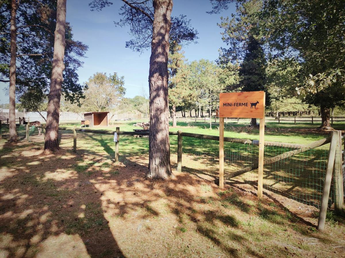 Bungalow Cosy Equipe La Boissiere-de-Montaigu Dış mekan fotoğraf